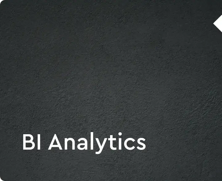 BI-Analytics