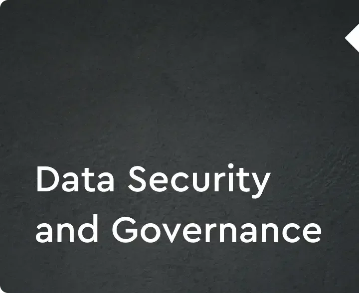 Data-Security-and-Governance