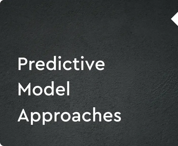 Predictive Model Approaches