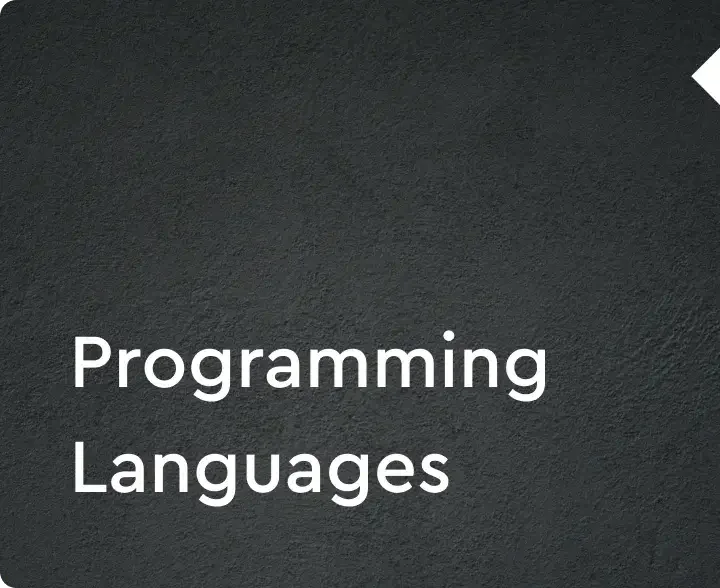 Programing Language